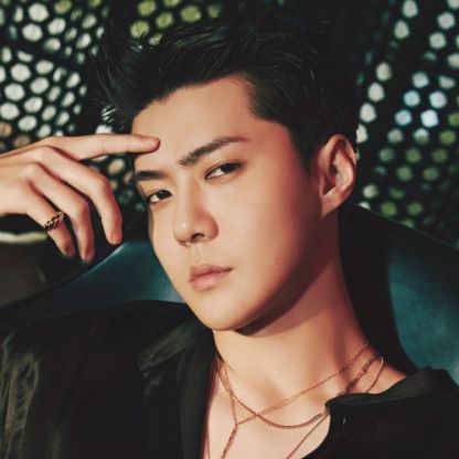 세훈 EXO(엑소)