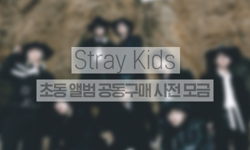 초동 앨범 공동구매 사전모금