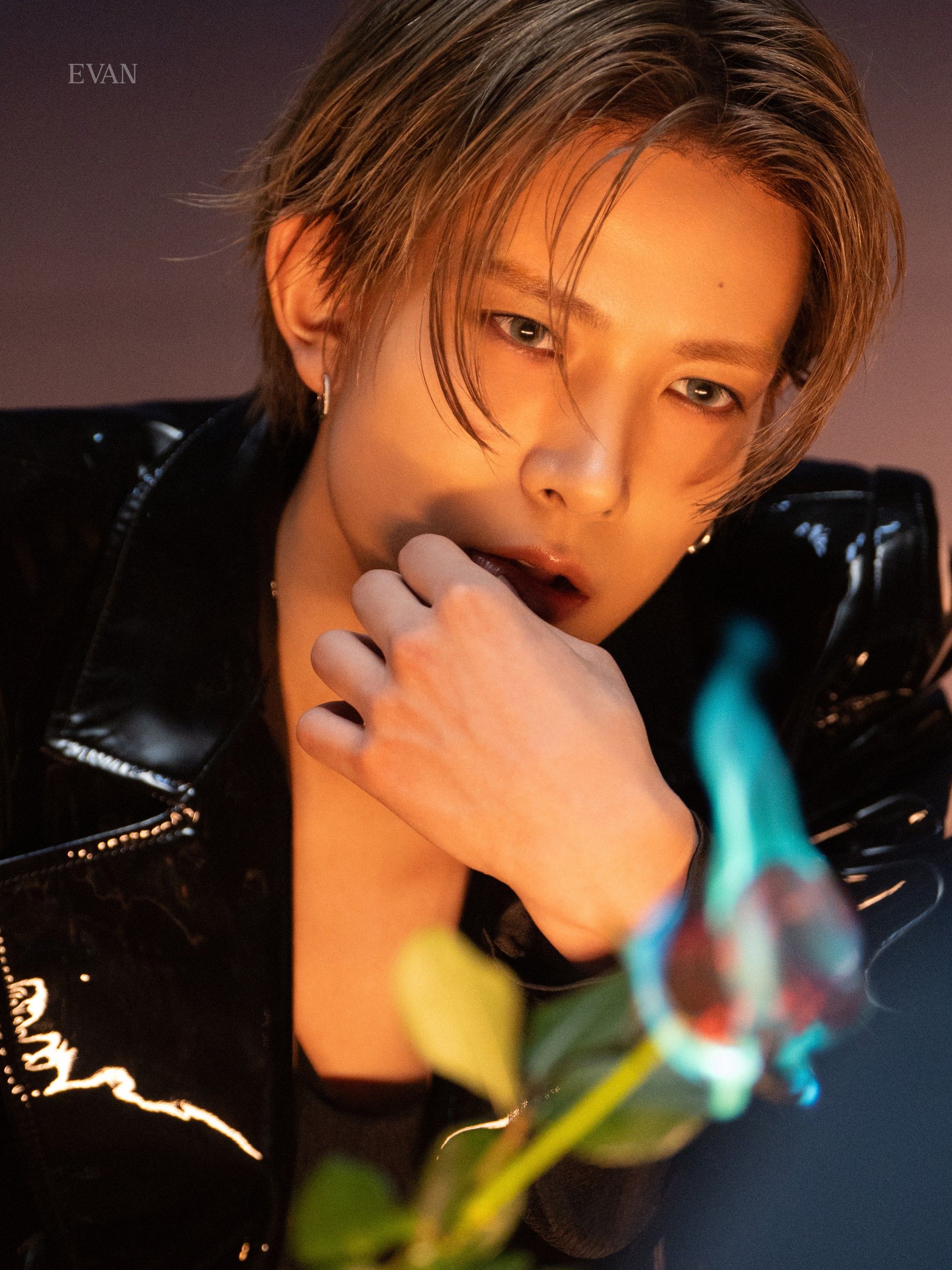 EVAN(에반)