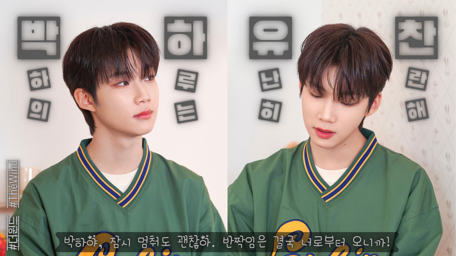 8박하유찬_박하냥이_영상비전.jpg